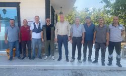 TMO Akyazı'da fındık alımına başladı... Sakarya'da 3 ilçede alım yapılıyor