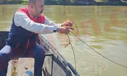 Kaçak av düzenekleri imha edildi