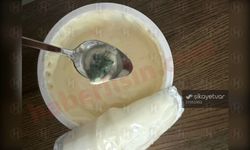 Yoğurdu açınca midesi kalktı! İçinden küf çıktı