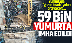 Yumurtada “gezen tavuk” yalanı ortaya çıktı... 59 bin yumurta imha edildi