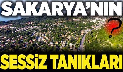 Sakarya'nın sessiz tanıkları!