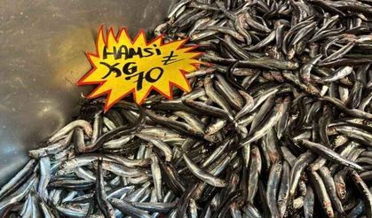İstavrit 50 liradan tezgaha indi