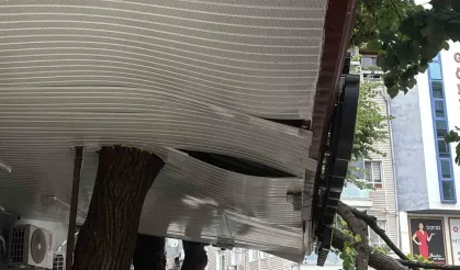 Lokantanın üzerine devrilen ağaç dalları çatıda hasara yol açtı