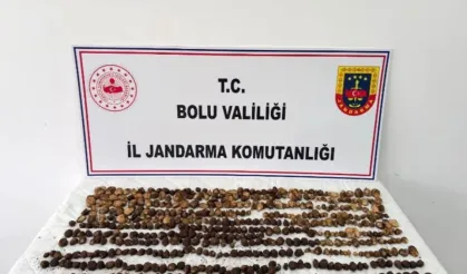 2 milyon liralık salep cezasına isyan edip çatıya çıktı