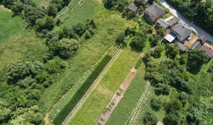 Arsa yatırımcısının favorisi Sakarya oldu