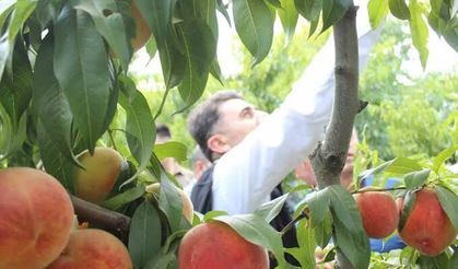 Tarladan 15’e alıp markette 100 liraya satıyorlar!