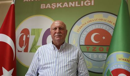Sakarya'da fındıkta 89 bin ton rekolte bekleniyor