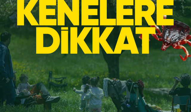 Havalar ısınmaya başladı, kenelere dikkat