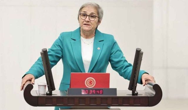 Ayça Taşkent'ten NATO gözaltlarına tepki