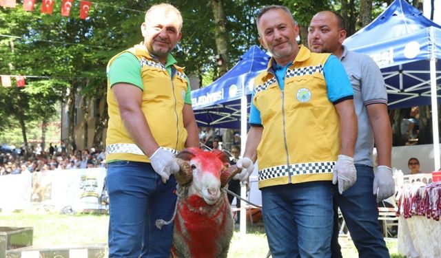 Selman Dede Güreşleri'nde şampiyon Serdar Yıldırım oldu