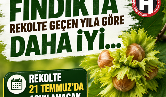 Fındıkta rekolte geçen yıla göre daha iyi… Rekolte 21 Temmuz’da açıklanacak