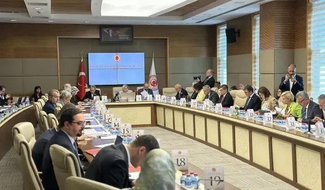 TBMM Komisyonu öğrenci affını ele aldı