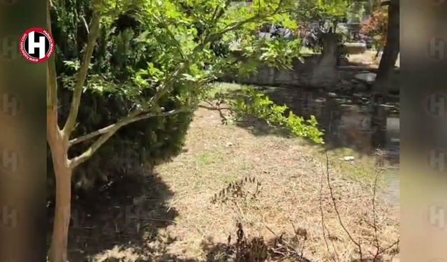 Kaynarca'da tarihi su pınarı çevresindeki su birikintisi tepki çekti