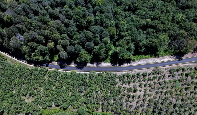 Kocaali'de asfaltlanan yollara çizgi çalışması tamamlandı