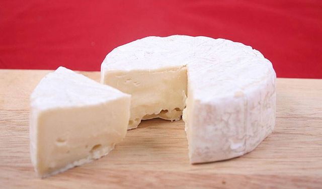 Bakanlık Sakarya’daki o firmayı ifşa etti… Peynirinde bitkisel yağ belirlendi