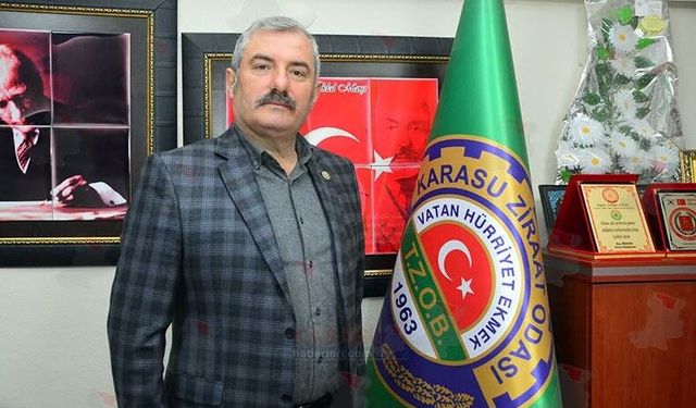 Fındık üreticisinin TMO'dan beklentisini 300 TL