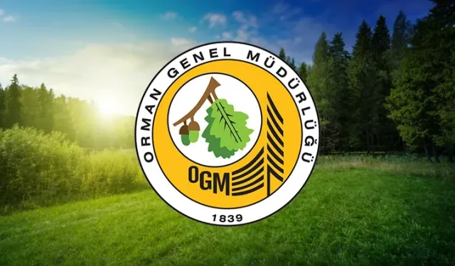 GEYVE ORMAN İŞLETME MÜDÜRLÜĞÜ’NE BAĞLI KAYABOĞAZI İŞLETME ŞEFLİĞİ 410 ve 422 KOD NOLU YENİ YOL YAPIM İŞİ YAPTIRILACAKTIR