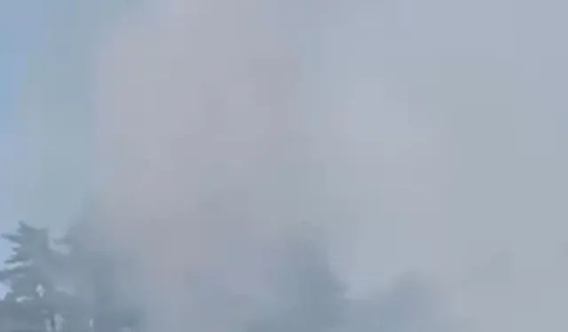 Düzce'de orman yangını!