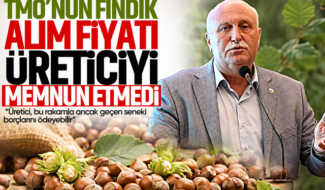 TMO'nun fındık alım fiyatı üreticiyi memnun etmedi