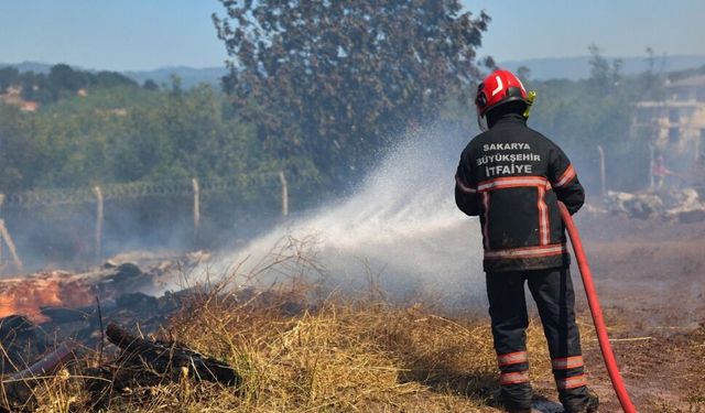Büyükşehir yeşil miras için uyardı… Aşırı sıcaklarda daha duyarlı olunması istendi