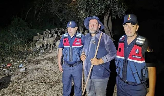 Kayıp çoban ve koyunları Pamukova’da bulundu