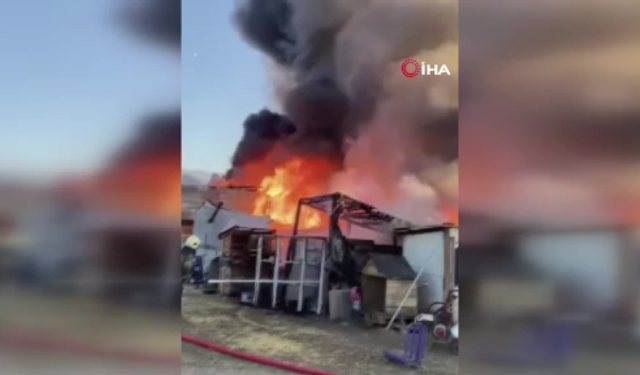 Çiftlik alev alev yandı