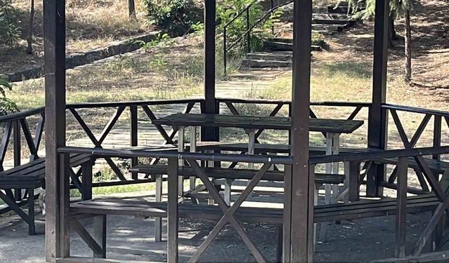 Çocuğuyla piknikteyken uzaklaştırma kararı verilen eşi tarafından bıçaklandı