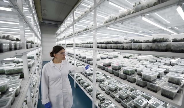İthal ediliyordu, şimdi Hendek’te üretilip dünyaya satılıyor