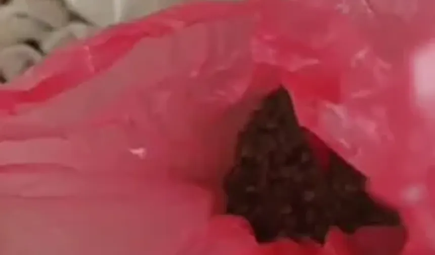 Polis koçbaşı ile kapıyı kırıp girdiği evde narkotik köpeği ile arama yaptı