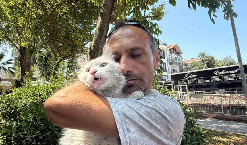 Kayıp kedisine günler sonra kavuştu, bu kez mutluluktan ağladı