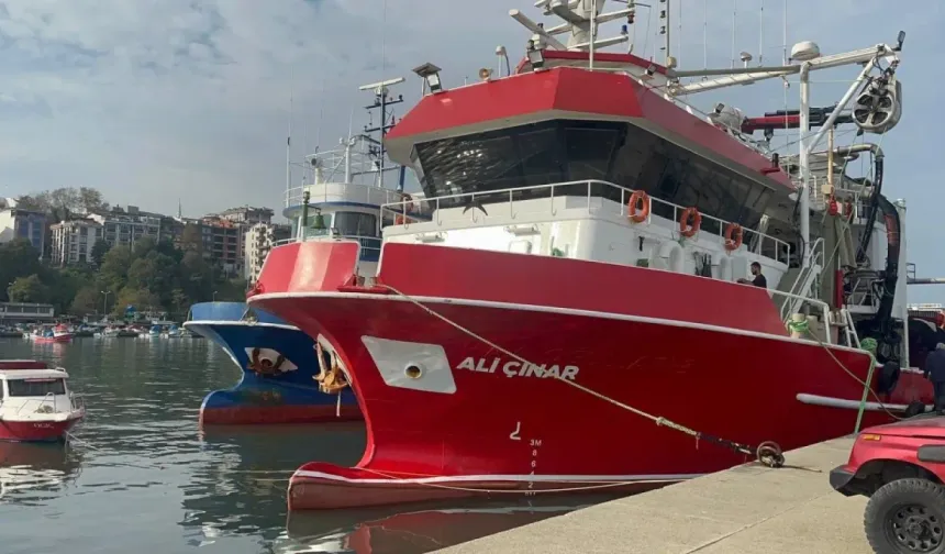 Karadeniz’den kasalarca hamsi çıktı