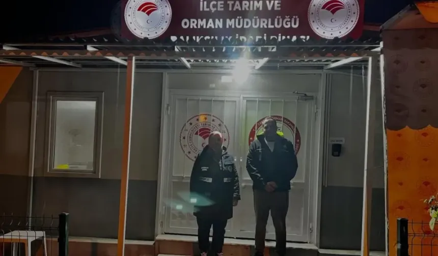Karadeniz’de hamsi yoğunluğu devam ediyor