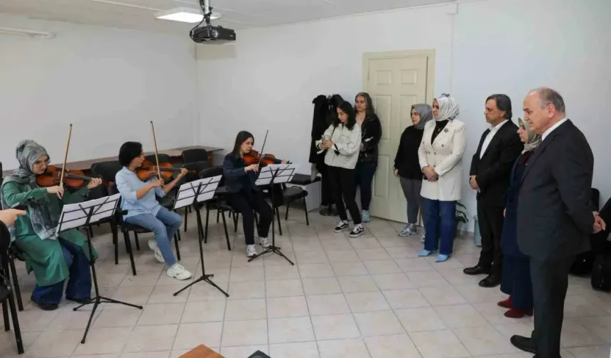 Hobiden ekonomik özgürlüğe