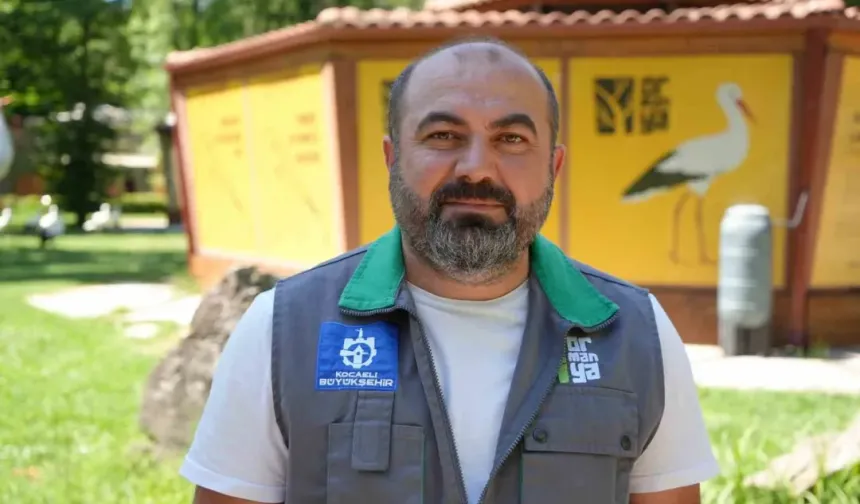 Şifa buldukları merkezde yuva kuran leyleklerin yavrusu 18 günlük oldu