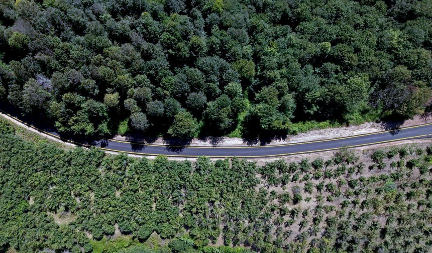 Kocaali'de asfaltlanan yollara çizgi çalışması tamamlandı