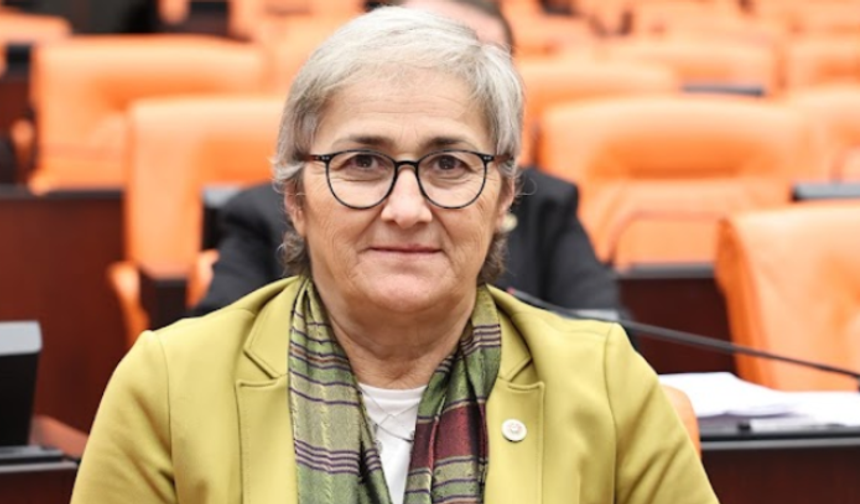 Ayça Taşkent: Fındık üreticisi hasat öncesi belirsizlik içinde