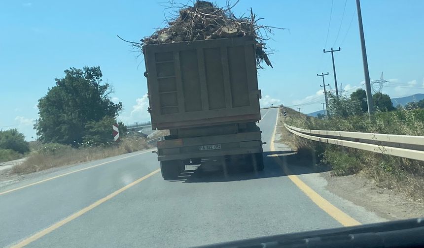 Odun yüklü kamyon kazaya davetiye çıkardı