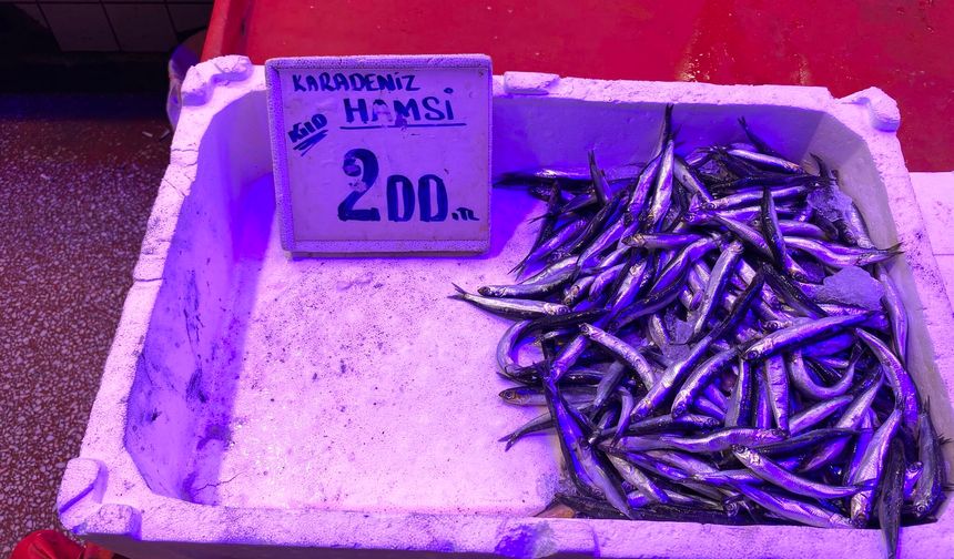 Hamsi 200 TL’den tezgahta