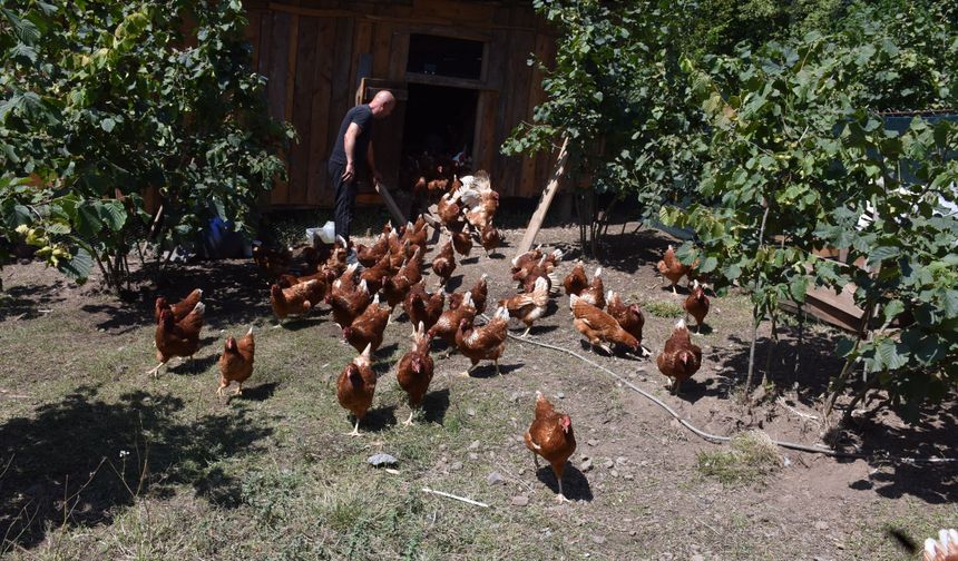 10 tavukla başladı, siparişlere yetişemiyor