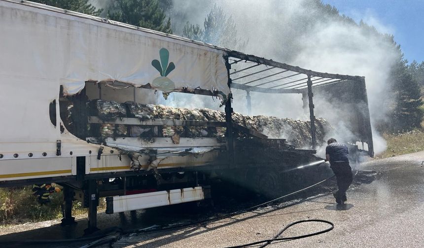 Şeker yüklü tır alev aldı, yangın ormana sıçradı