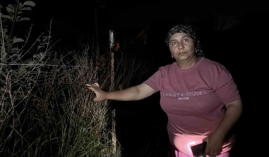 Mahallelinin gece nöbeti devam ediyor! Fenerlerle sokak sokak arıyorlar