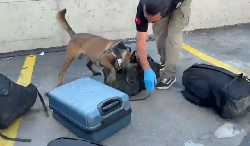 Narkotik köpeği valizde 21 bin sentetik ecza buldu