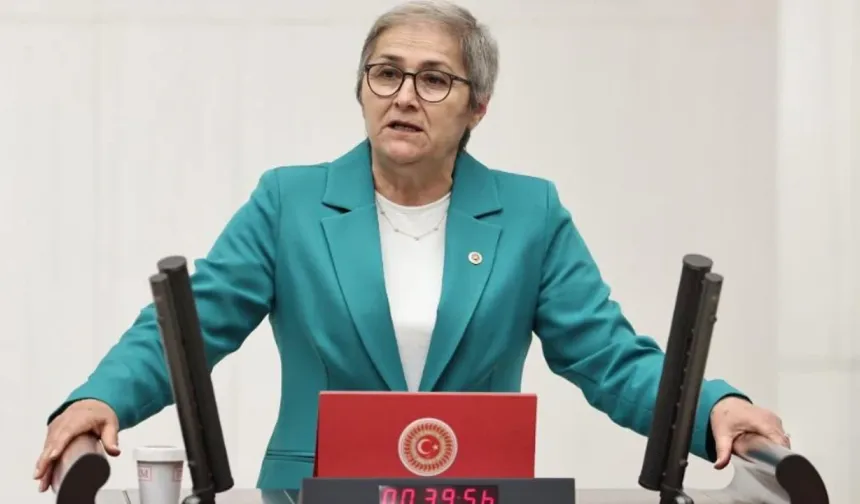 Ayça Taşkent, barınma krizi için TBMM'ye önerge sundu
