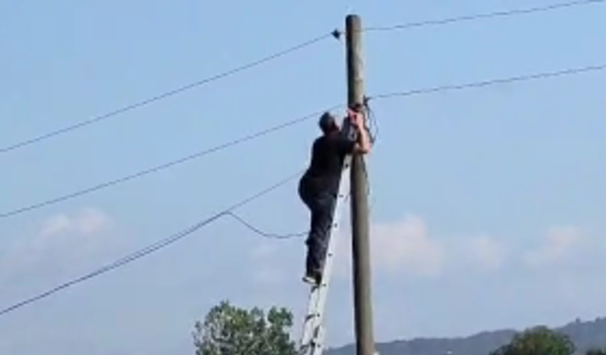 Canını hiçe sayarak elektrik direğine çıktı
