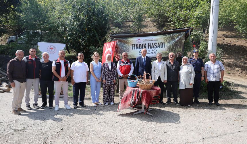 Erenler'de fındık hasadı şenliği gerçekleşti