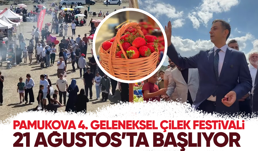 Pamukova 4. Geleneksel Çilek Festivali 21 Ağustos’ta başlıyor