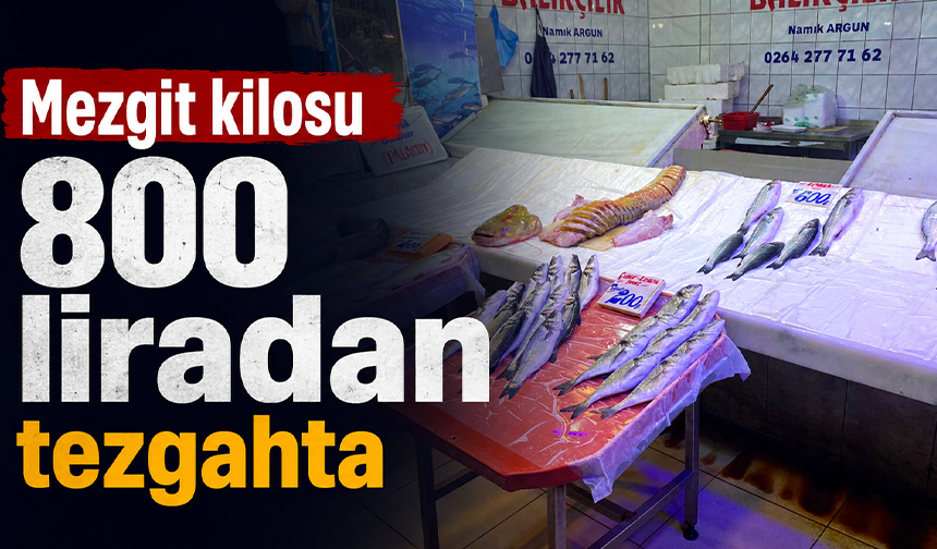 Mezgit kilosu 800 liradan tezgahta