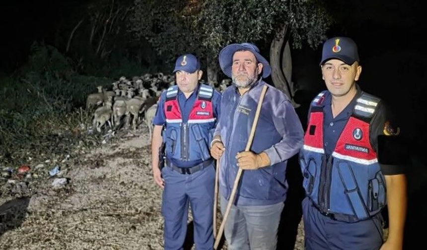 Kayıp çoban ve koyunları Pamukova’da bulundu