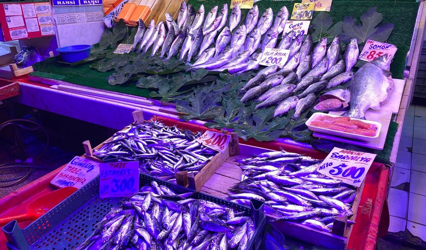 Hamsi ve istavrit yine zamlandı