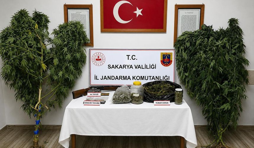 İki ilçede jandarmadan kaçakçılık ve uyuşturucu operasyonu